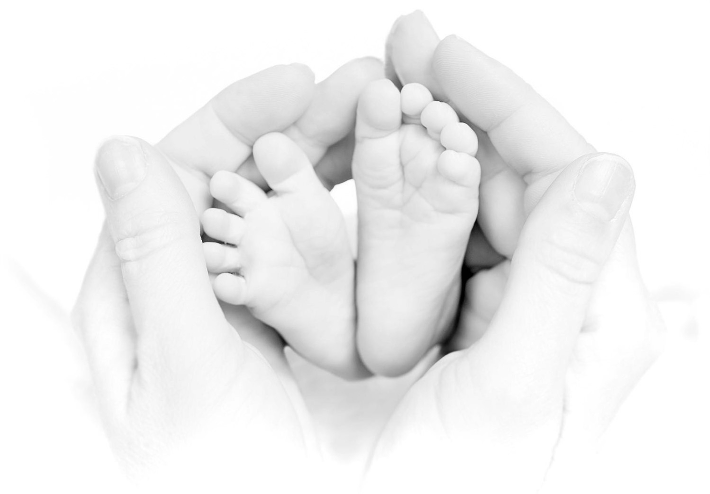 Zwei Hände halten die zwei Füße ihres Babys zart umarmt im weissen Studio als Nahaufnahme