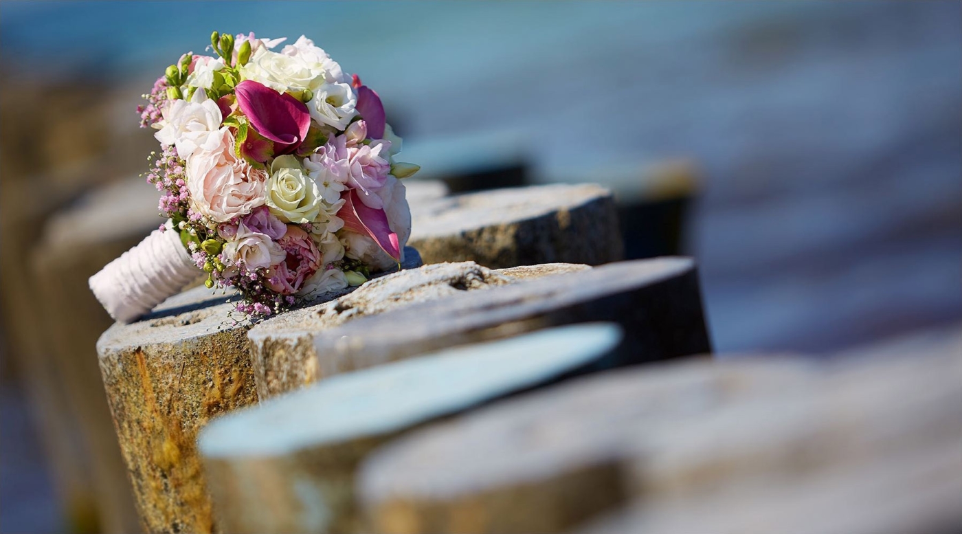 Braustrauss auf den Buhnen an der Ostsee abgelegt.